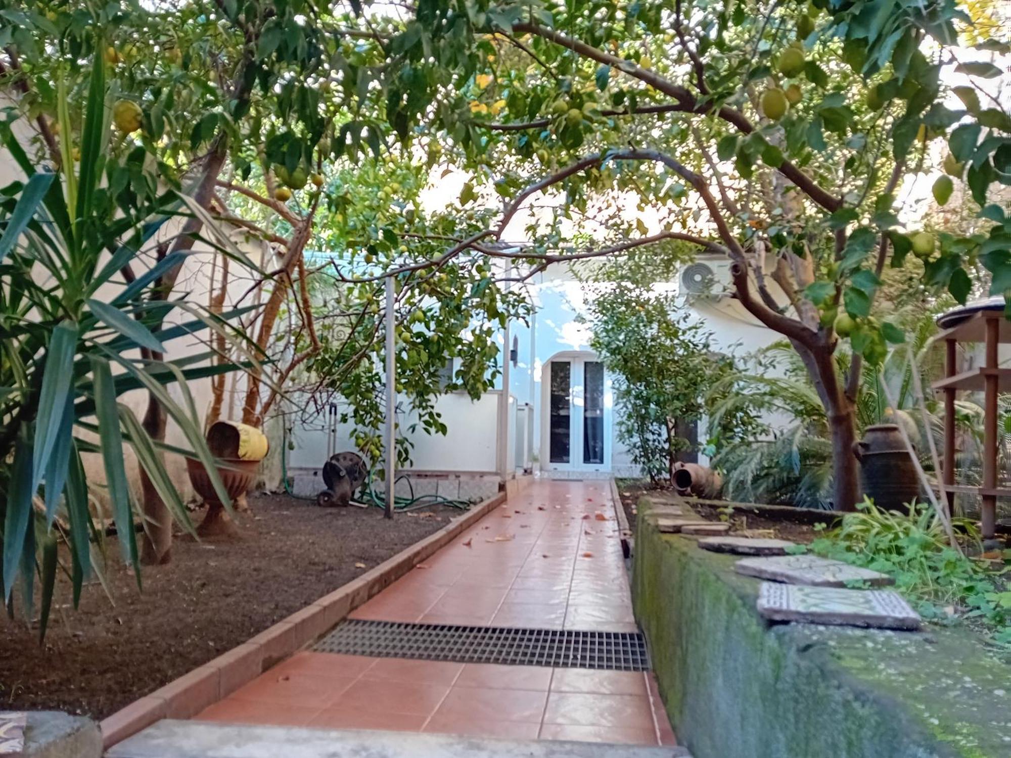 Villa Sofia E Sveva 那不勒斯 客房 照片